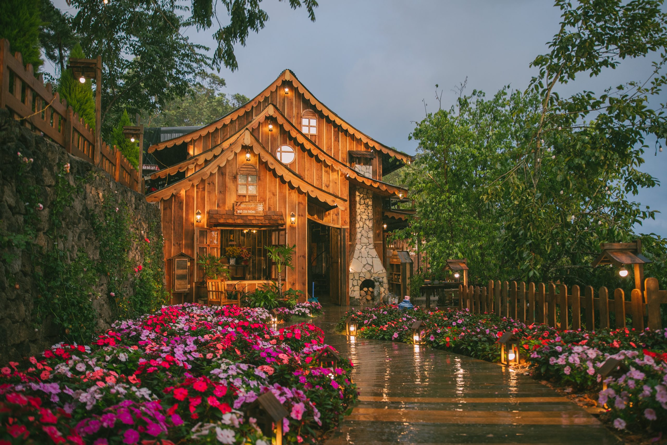 Nhà của thông