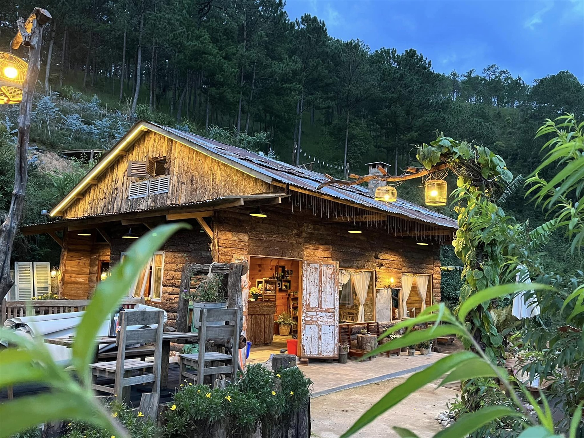 Nhà bên rừng